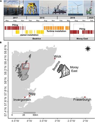 Broad-Scale Responses of Harbor Porpoises to Pile-Driving and Vessel Activities During Offshore Windfarm Construction